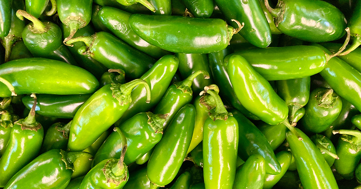 Jalapeño to jedna z najpopularniejszych odmian papryki chili, pochodząca z Meksyku.