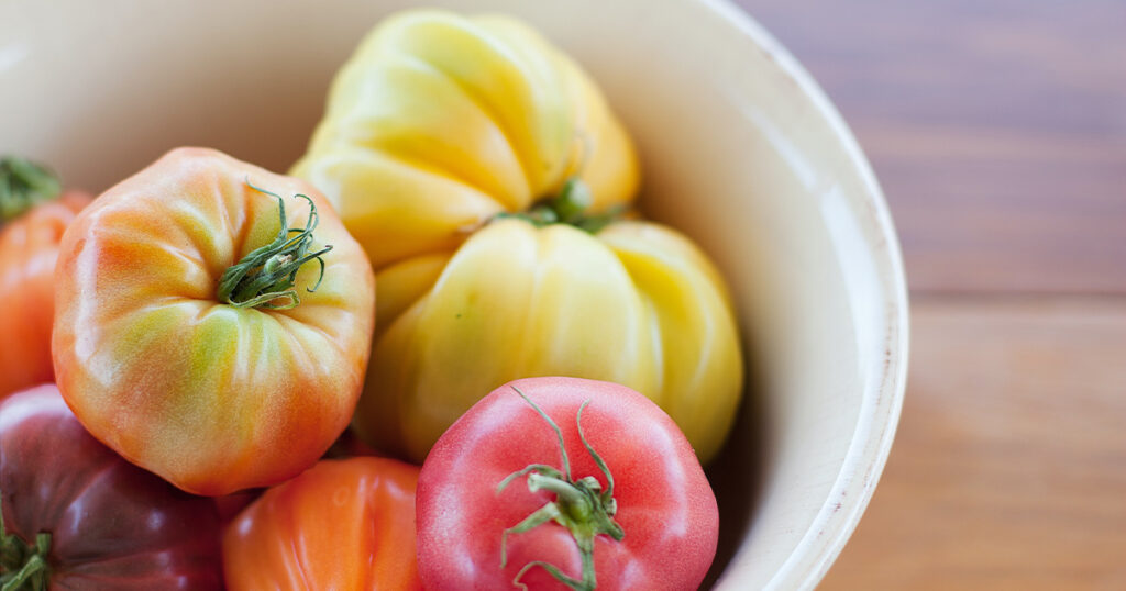 Pomidor gruntowy Yellowstone to rodzaj pomidora, który jest uprawiany w ogrodzie na otwartym gruncie, bez użycia osłon