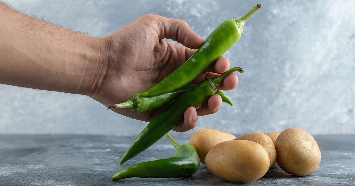 Jalapeno to rodzaj papryczki chili, która jest powszechnie używana w kuchni meksykańskiej.