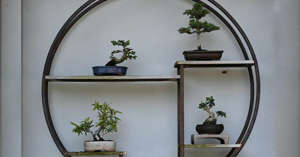 Sztuka bonsai jest japońskim stylem uprawy drzewek w małych doniczkach. Drzewka bonsai są starannie pielęgnowane i kształtowane, aby osiągnąć miniaturyzowany, proporcjonalny wygląd.